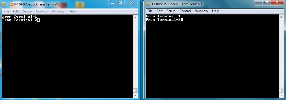 Teraterm Dual Port